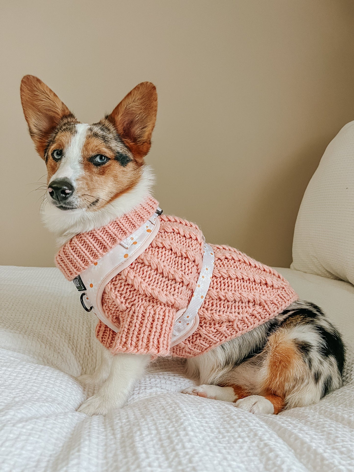 Pet Cable Knit Sweater - Pink