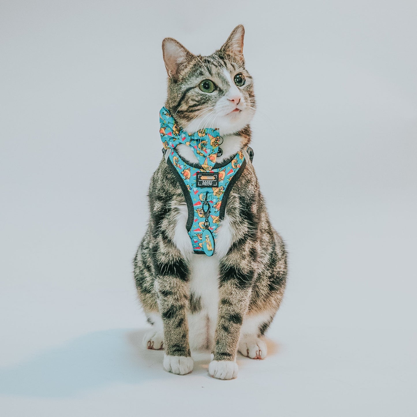 Collar Tag - Nickelodeon CatDog™