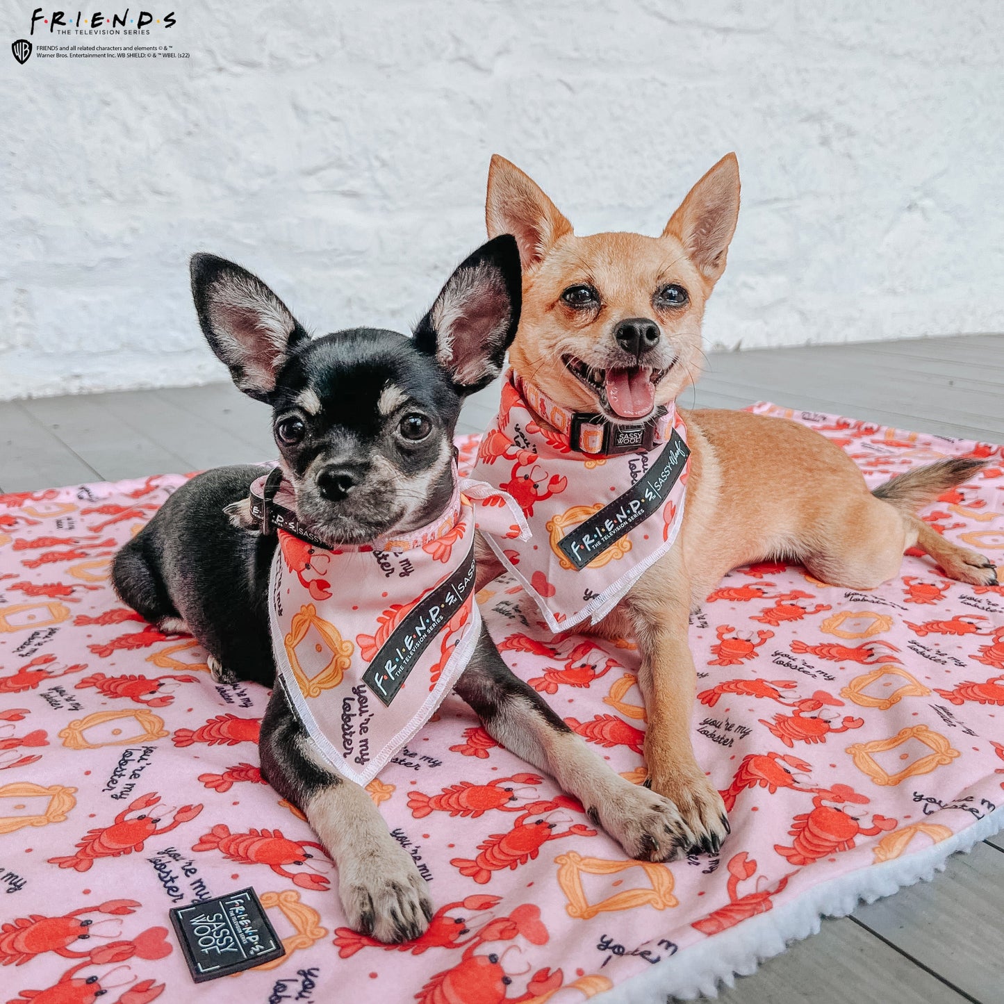 Dog Bandana - Friends™ (Lobster)