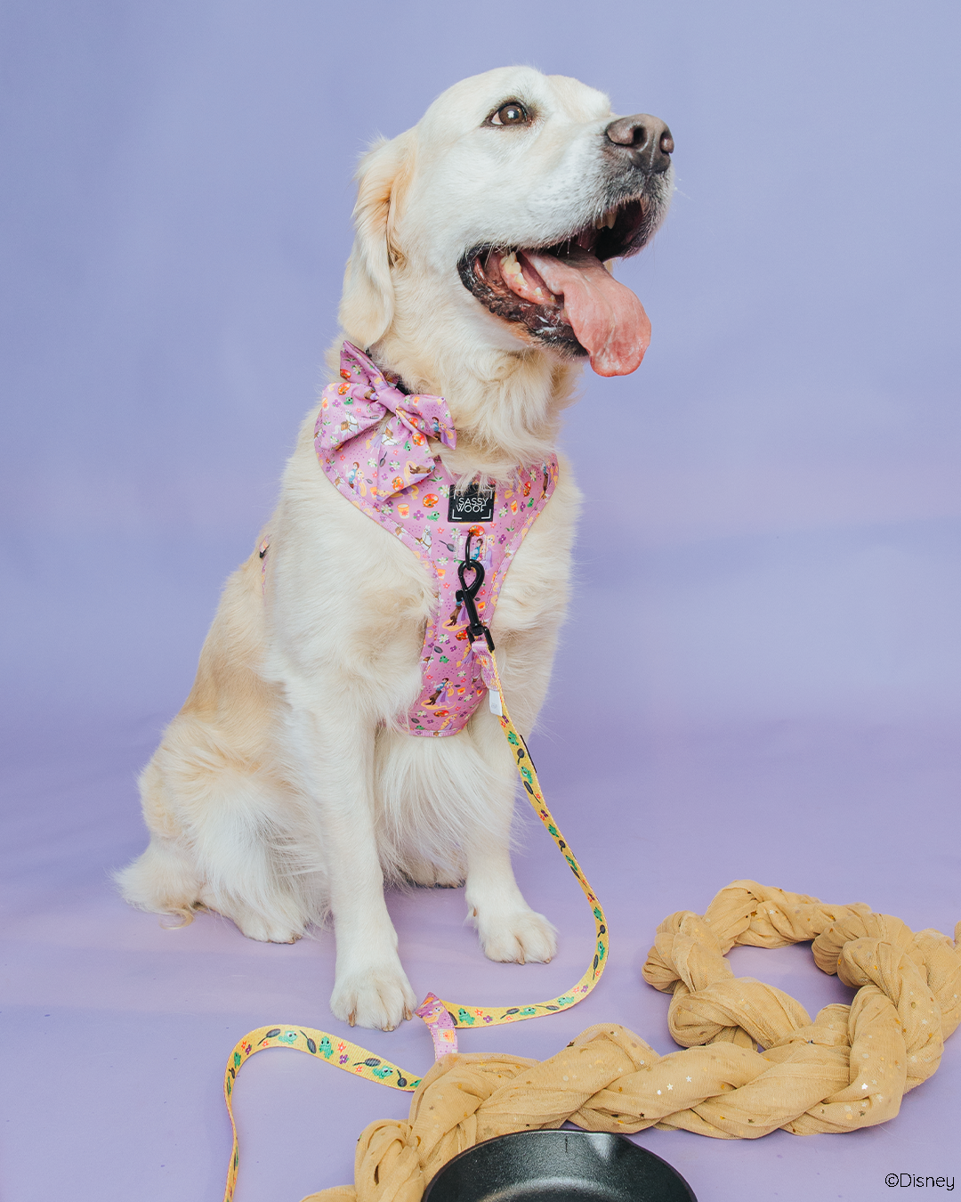 Dog Sailor Bow - Disney's Rapunzel