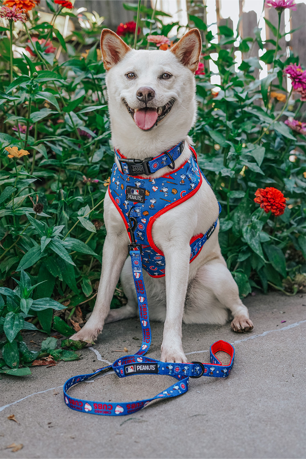 Dog Two Piece Bundle - MLB™ x Peanuts™ Chicago Cubs™