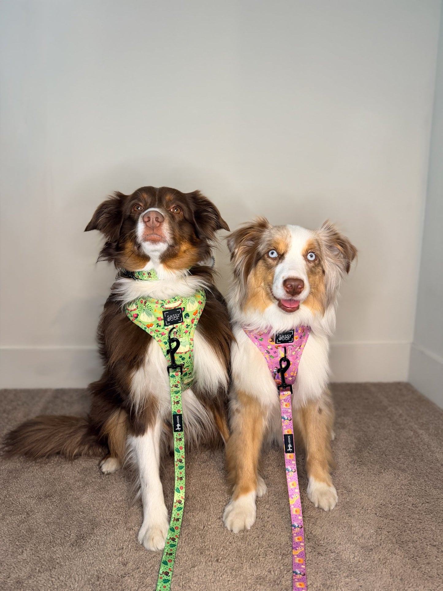 Dog Collar - Disney's Tiana