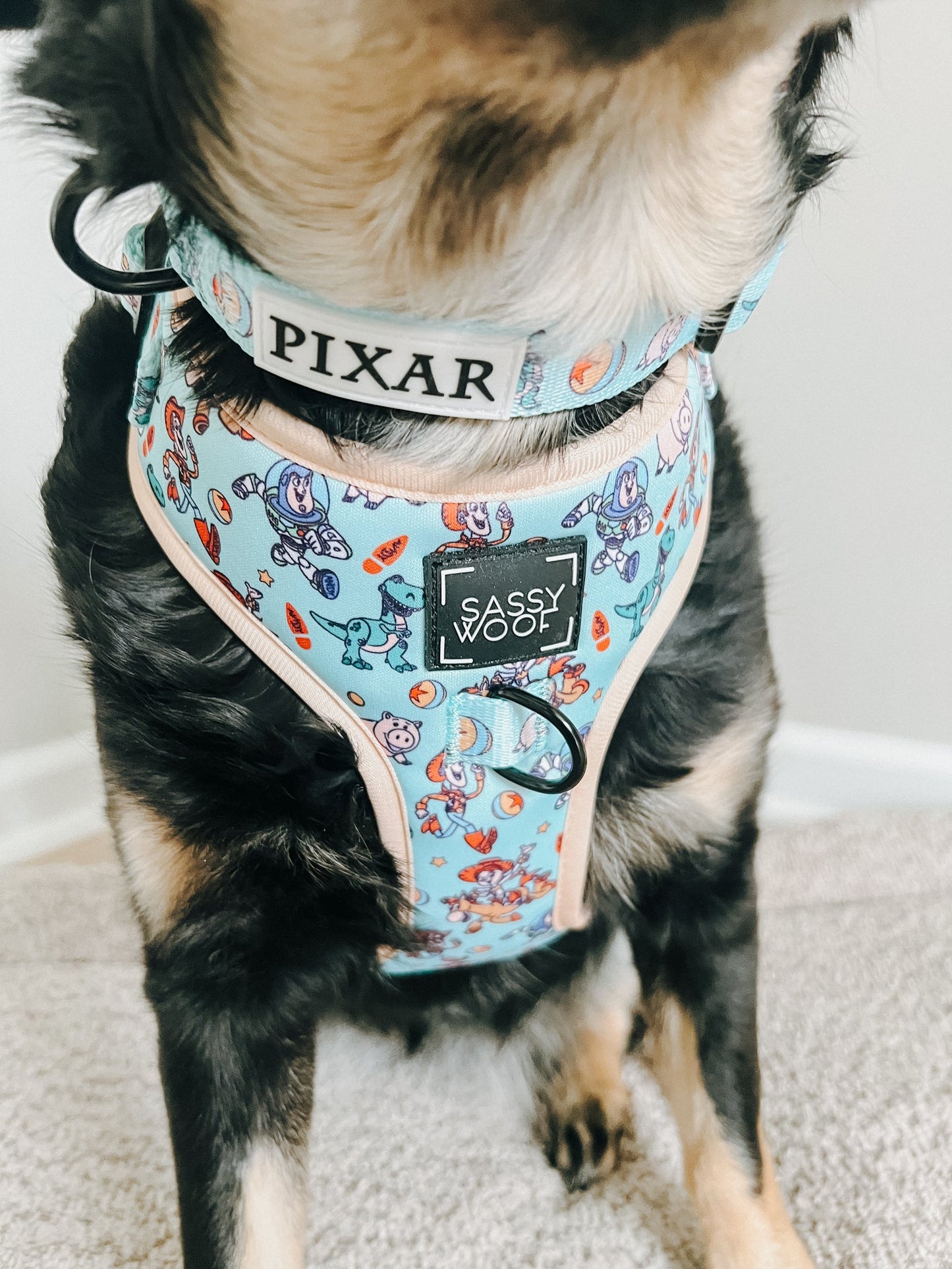 Dog Collar - Disney and Pixar's Toy Story