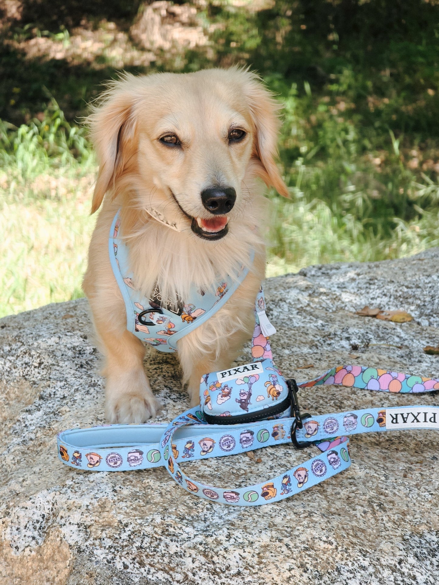 Dog Two Piece Bundle - Disney and Pixar's Up