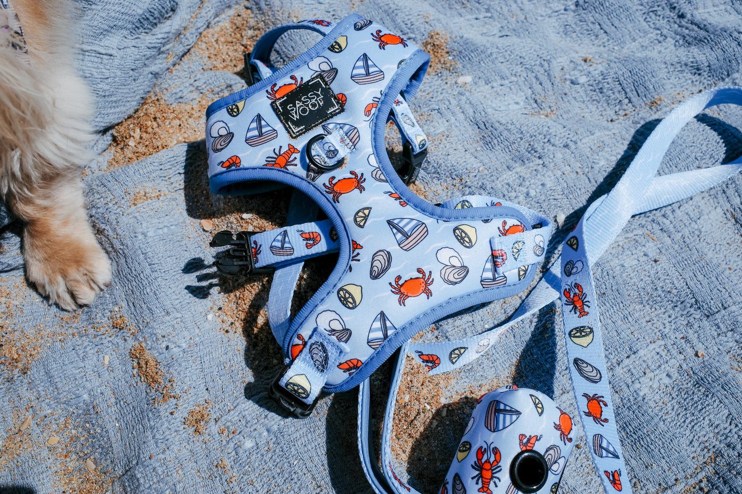 Dog Four Piece Bundle - Coastal Cuties