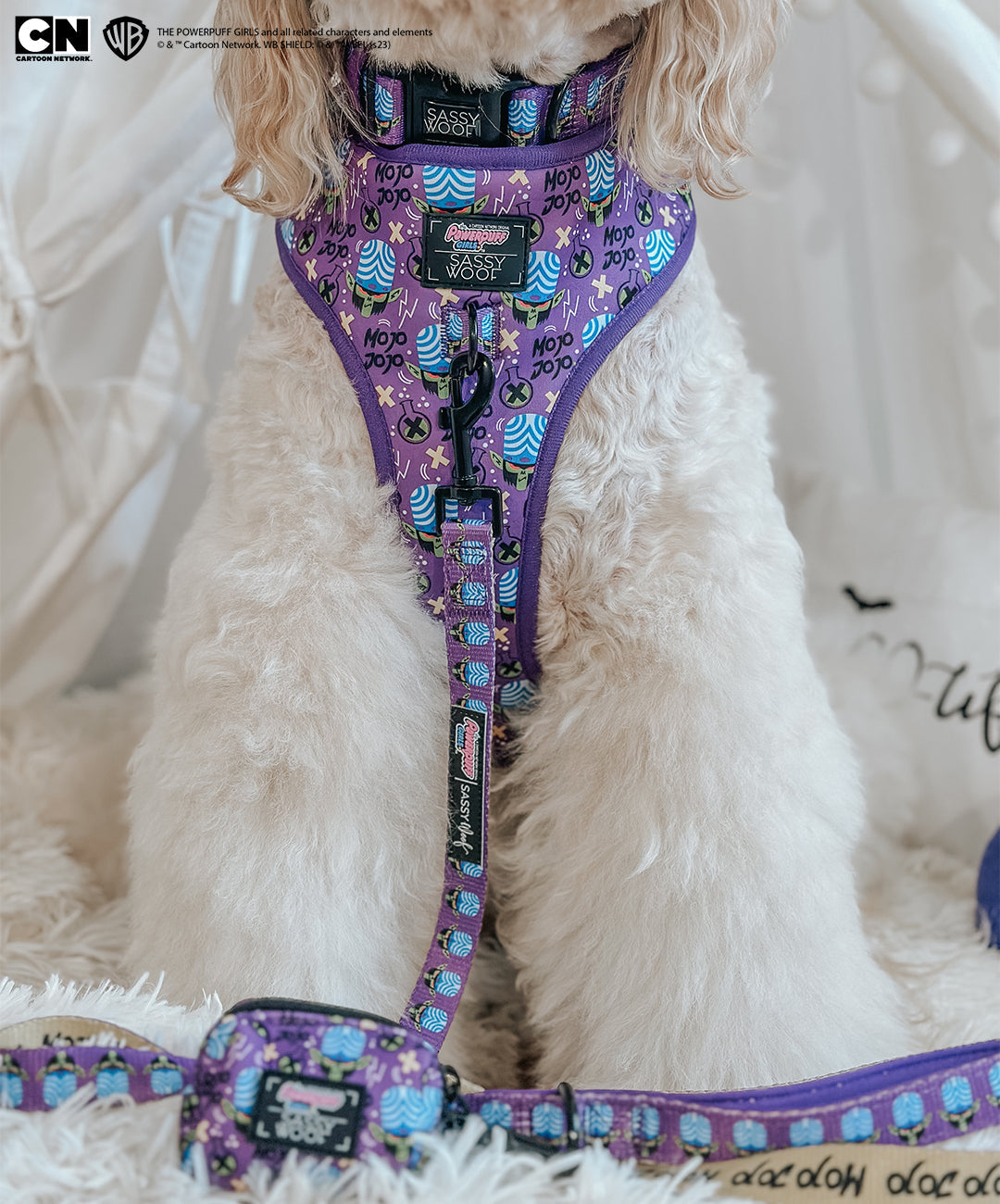 Dog Four Piece Bundle - Mojo Jojo™
