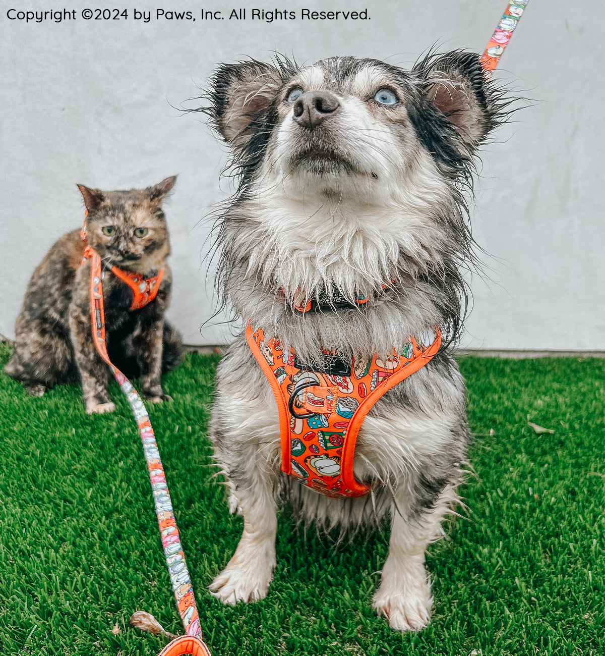 Dog Four Piece Bundle - Garfield™