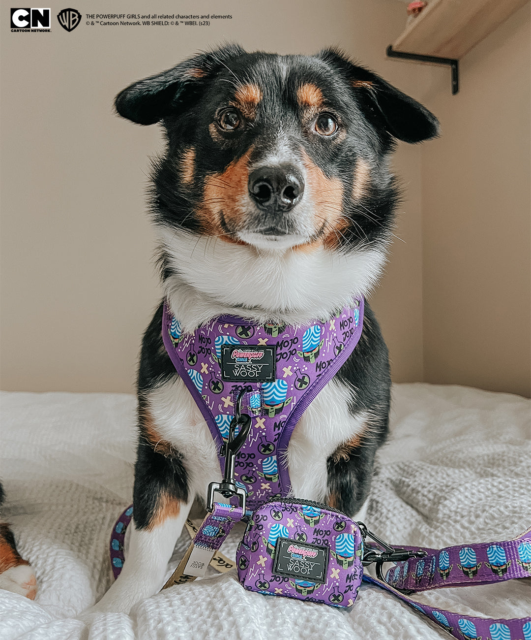 Dog Waste Bag Holder - Mojo Jojo™