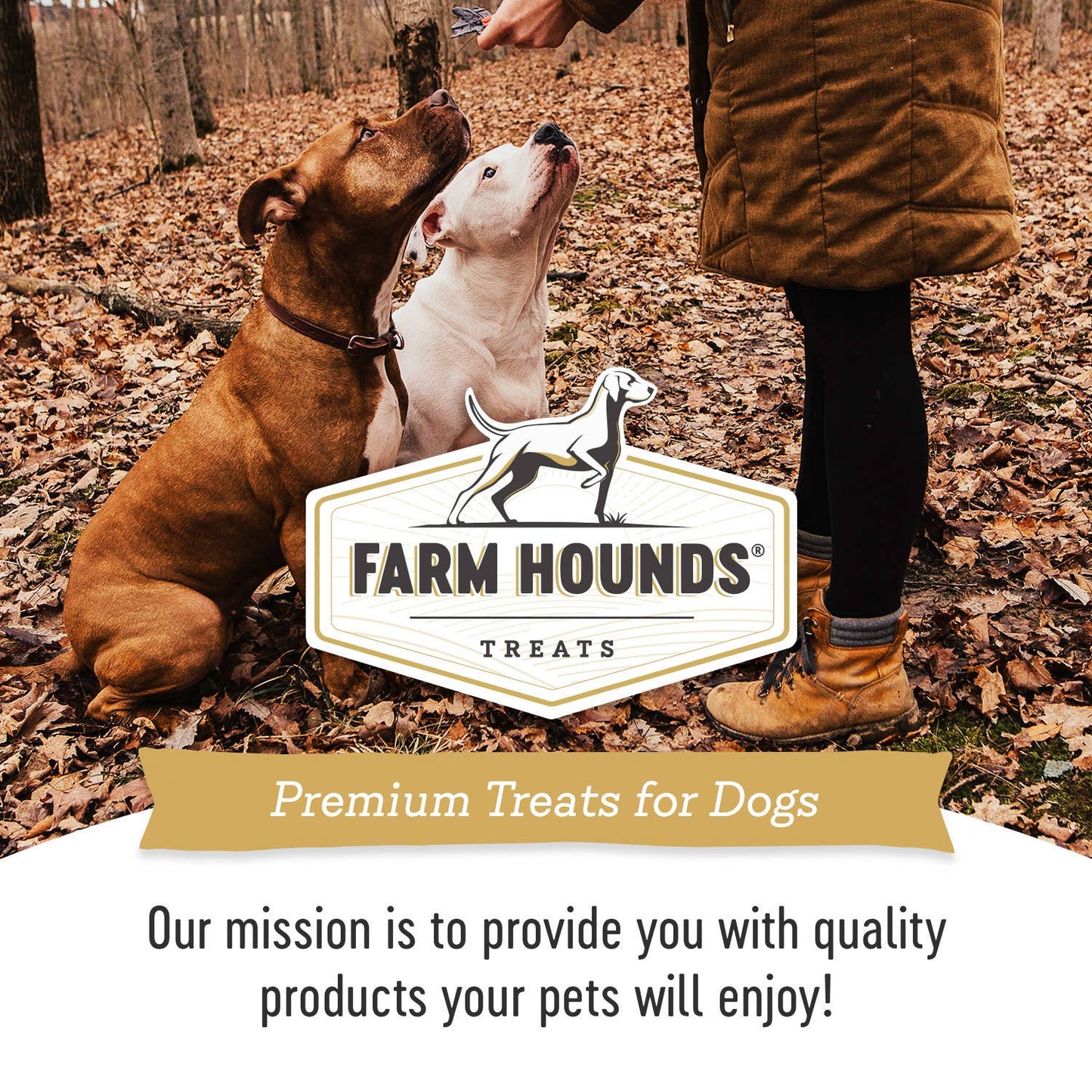 Farm Hounds - Chicken Gizzard Trainer - All-Natural Dog Treats - 4oz