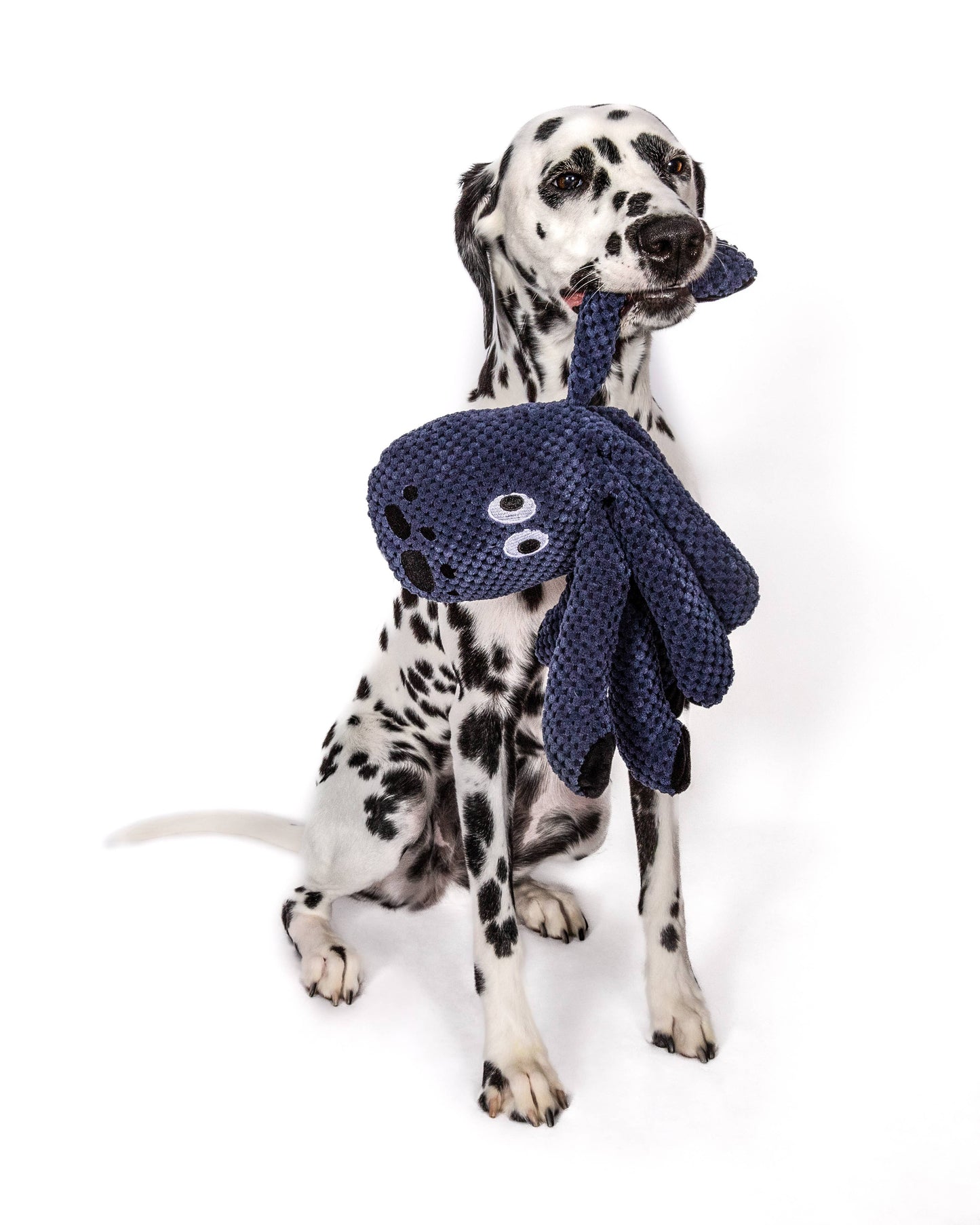 fabdog Floppy Octopus Plush Dog Toy: Ink:#073073 / Small