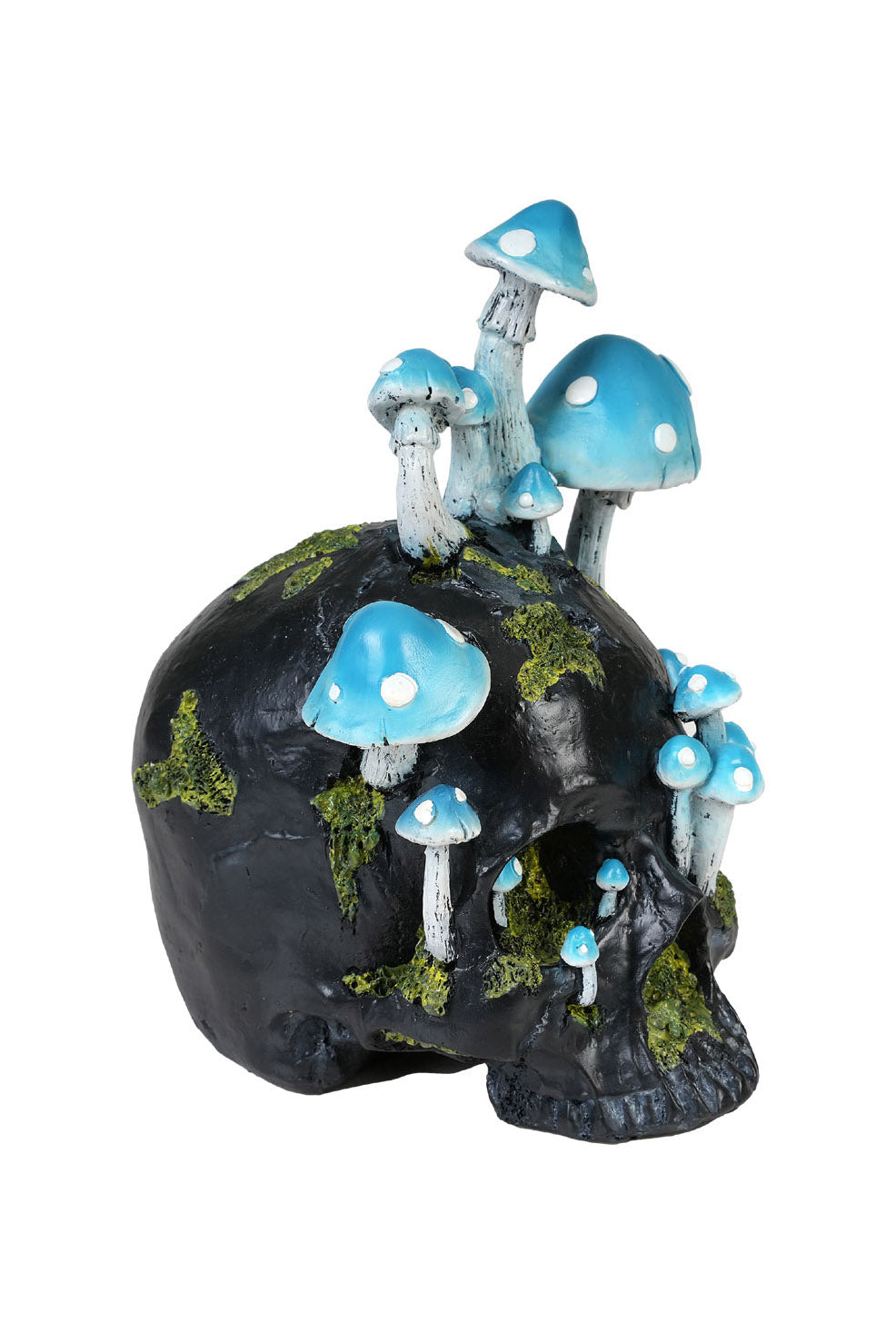Black Skull with Mushrooms