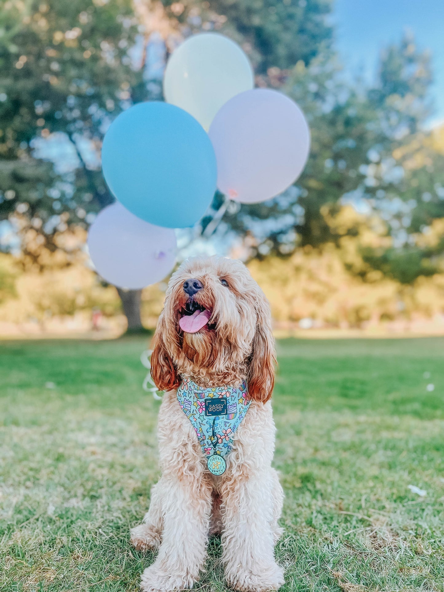 Dog Two Piece Bundle - Pup Pup Hooray