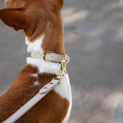 Nina Woof - Leash 4ft - Vegan Leather - Cupertino