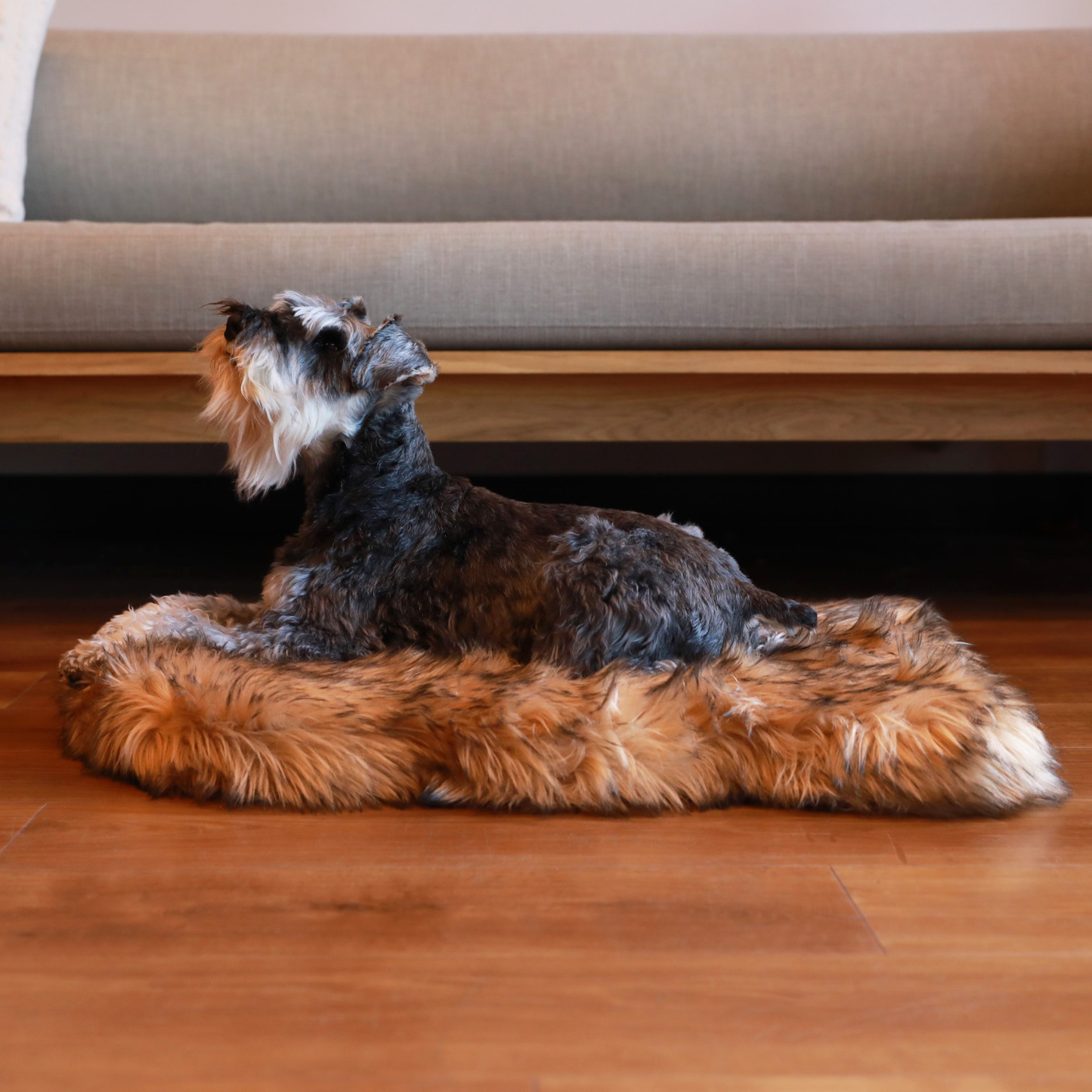 Paw Brands - PupRug by Paw.com™ Faux Fur Orthopedic Dog Bed - Curve Sable Tan