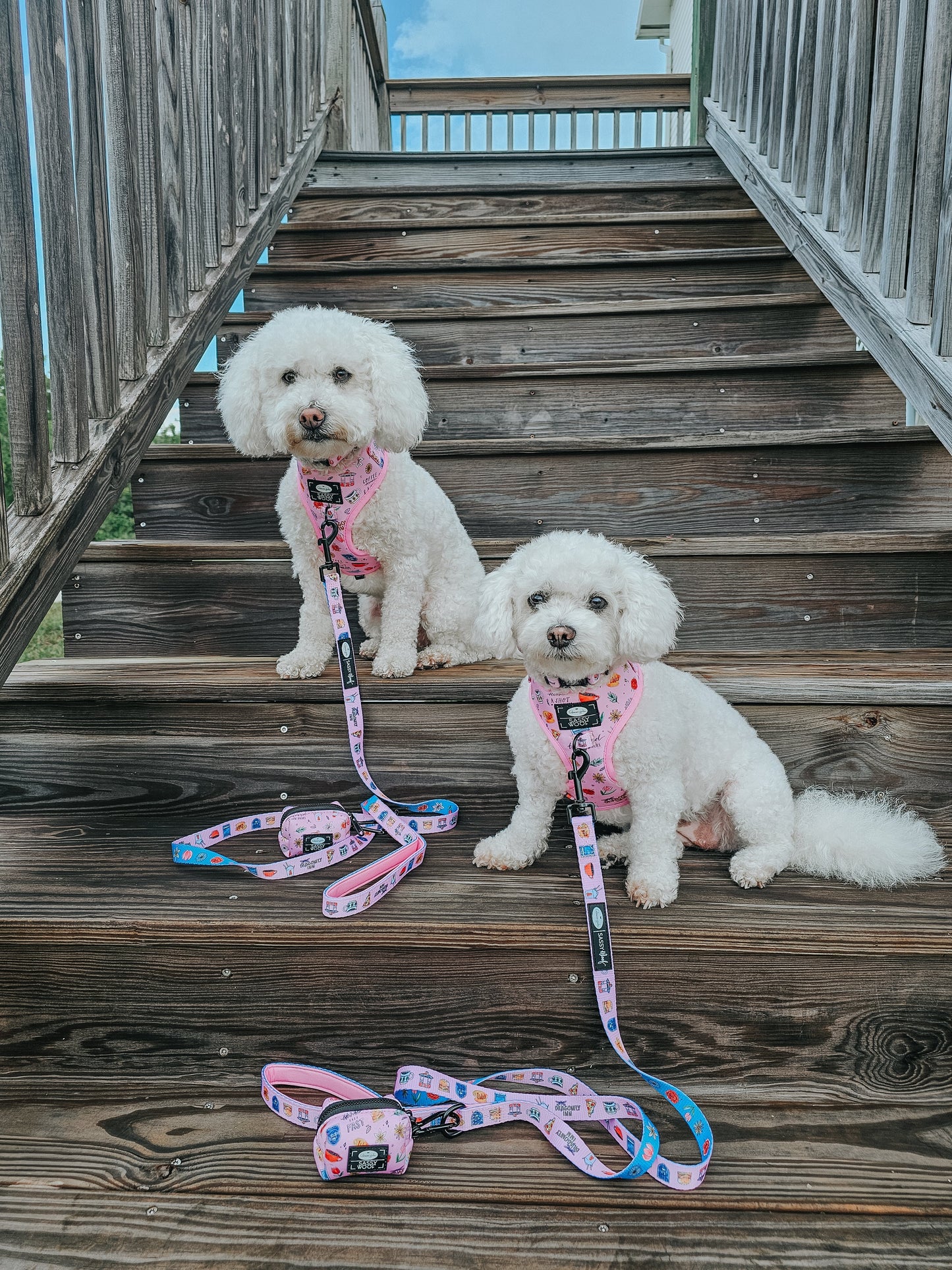 Dog Collar Three Piece Bundle - Gilmore Girls™
