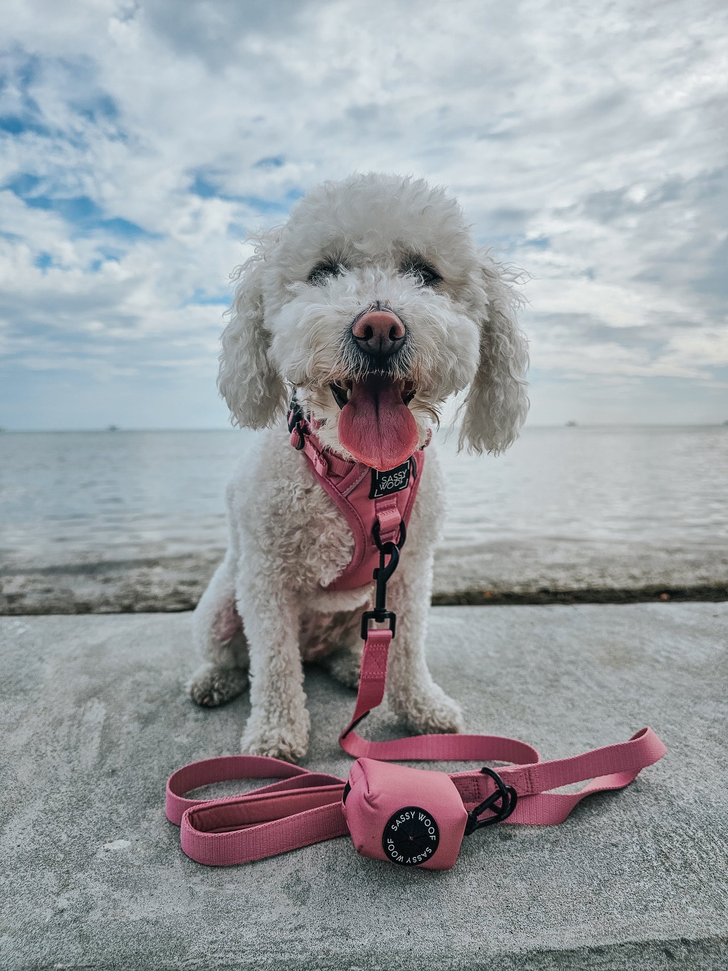 Dog Four Piece Bundle - Dusty Rose