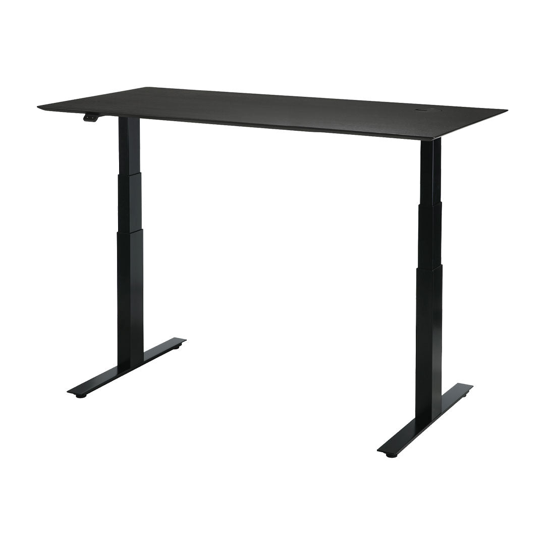 Bok Adjustable Desk