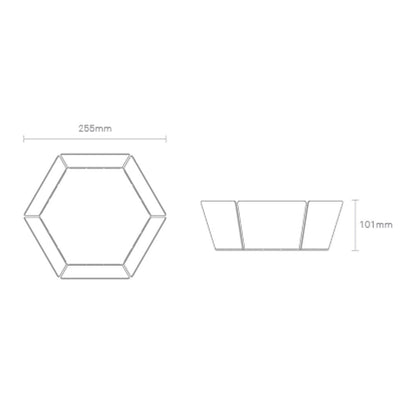 2D:3D Bowl