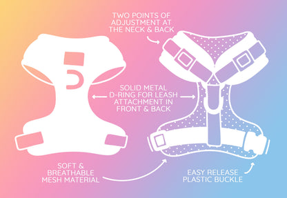 Dog Two Piece Bundle - Muscle Bod