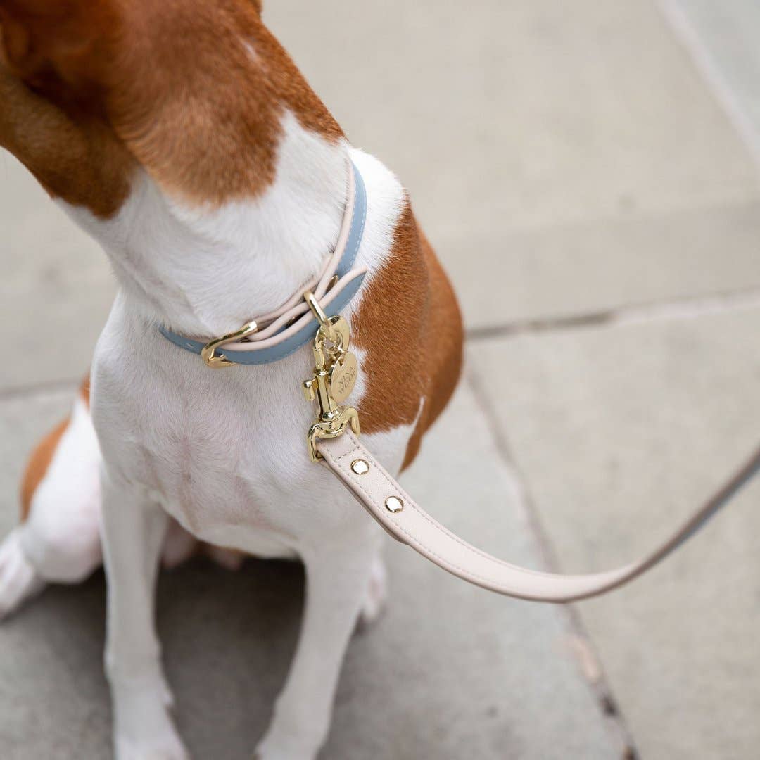 Nina Woof - Leash 4ft - Vegan Leather - Cupertino