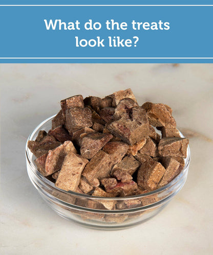 Fig & Tyler - Freeze-Dried Bison Liver Morsels