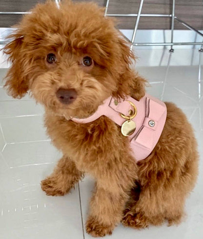 PoisePup - HARNESS - BELLA ROSE