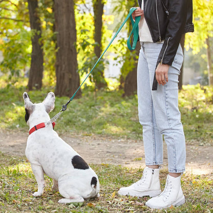 Dogline - Biothane Waterproof Leash