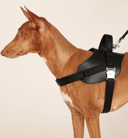 Hozi - Saddle Harness - Black