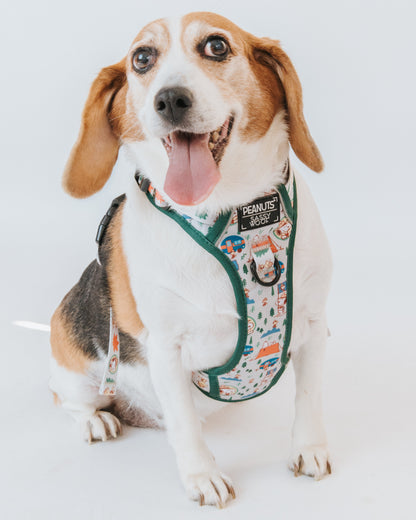 Dog Four Piece Bundle - Peanuts™ Beagle Scouts