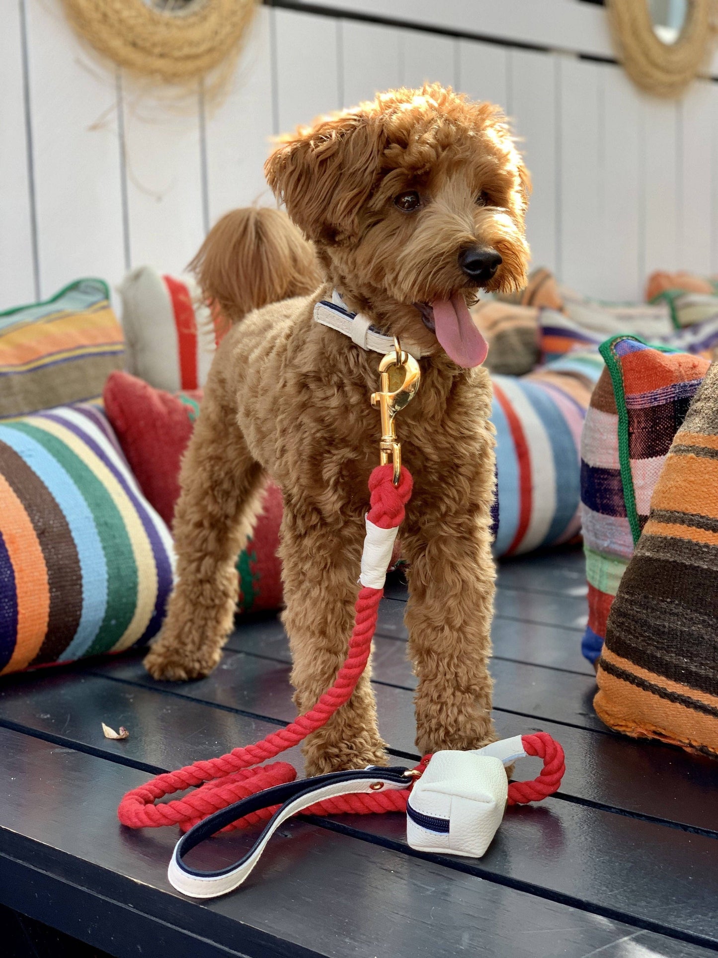 PoisePup - LEASH - HOT MARINE