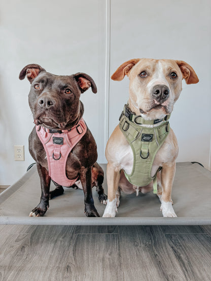 Dog Four Piece Bundle - Dusty Rose