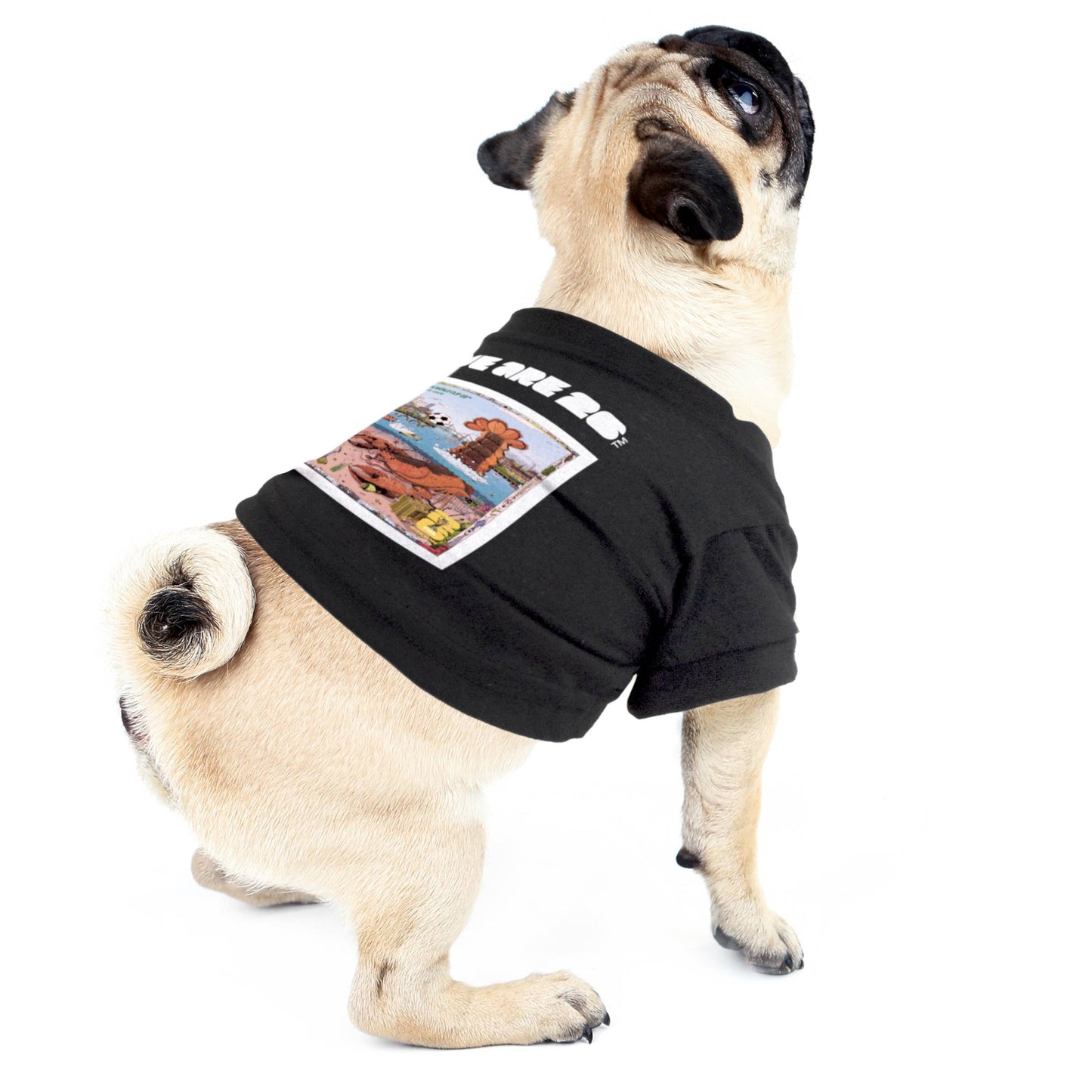 Little Earth Productions - 2026 FIFA World Cup Host City Pet T-Shirt