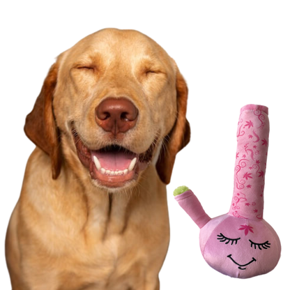 PAW:20 - Harmony Bong 420 Dog Toy 🐶 Marijuana, Weed, Cannabis Themed