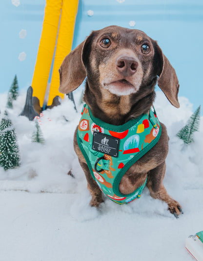 Dog Four Piece Bundle - Elf™
