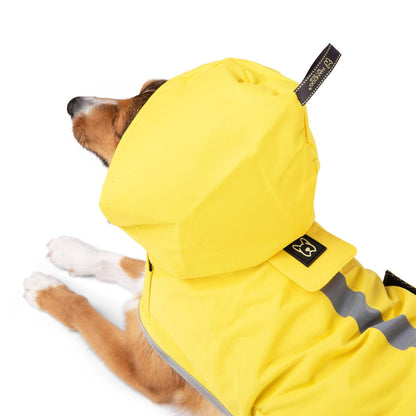 Nandog Pet Gear - Rain Coat Nandog Sport Collection: M