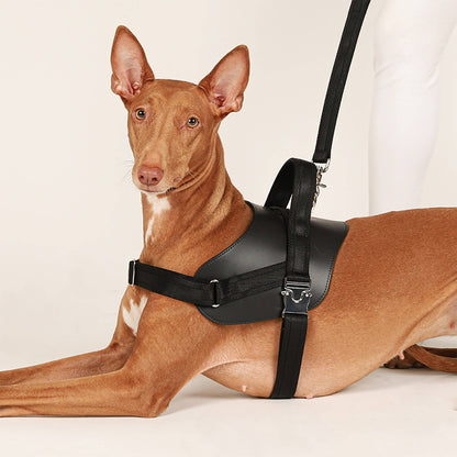 Hozi - Saddle Harness - Black