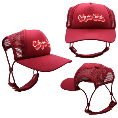 PupLid - Custom Retro Text | Trucker Hat for Dogs