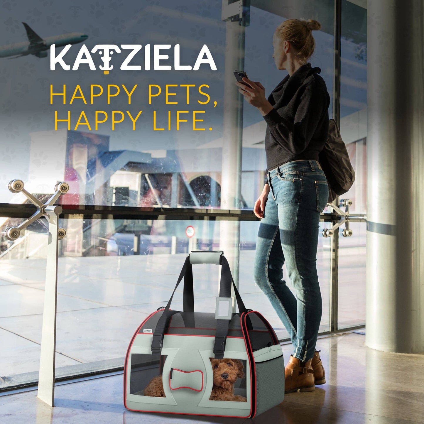 Bone Cruiser Pet Carrier with Removable Wheels - 2 Options: Gray and Red