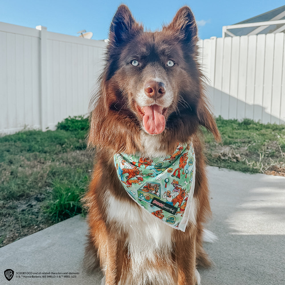 Dog Bandana - Scooby-Doo™