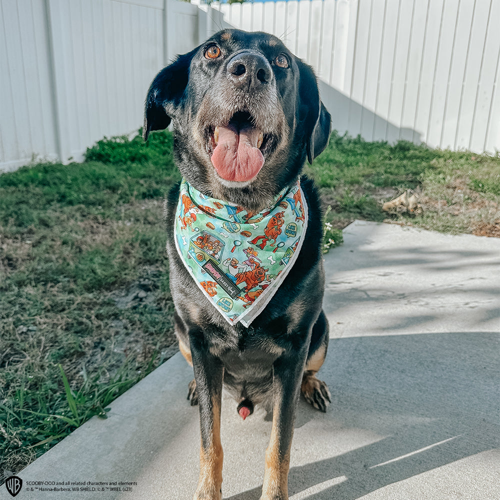 Dog Bandana - Scooby-Doo™
