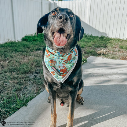 Dog Bandana - Scooby-Doo™