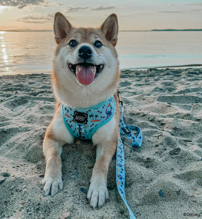Dog Two Piece Bundle -  Disney's Stitch