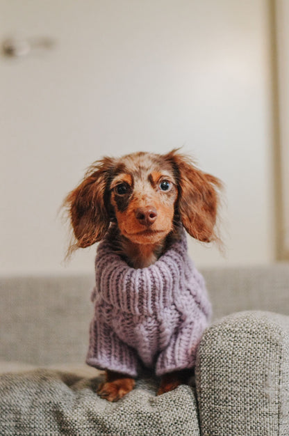 Pet Cable Knit Sweater - Lavender