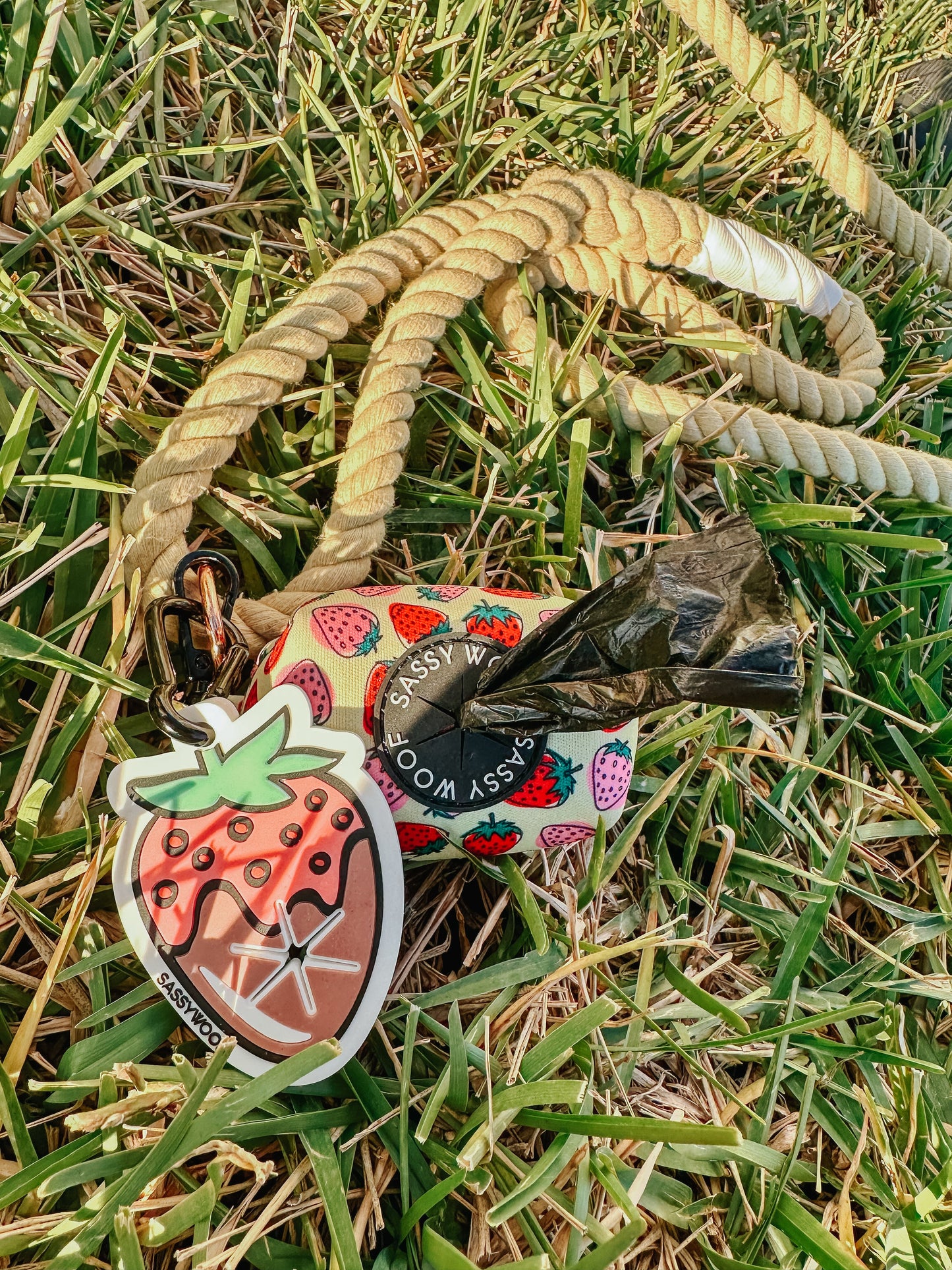 Potty Pal - Chocolate Strawberry