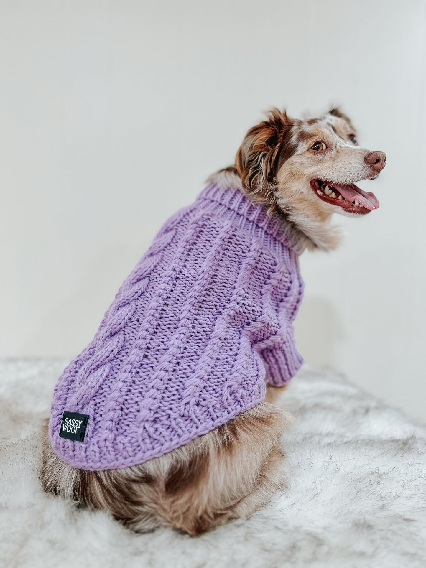 Pet Cable Knit Sweater - Lavender