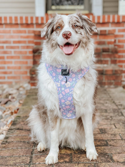 Dog Two Piece Bundle - Fleur de Sass