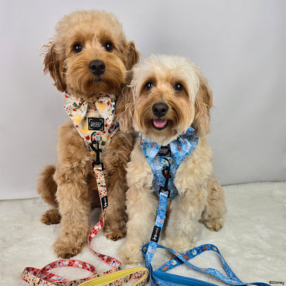 Harness Three Piece Bundle - Disney's Cinderella