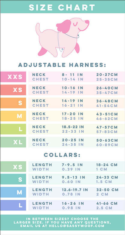 Harness Three Piece Bundle - Disney's Ariel