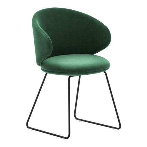 Belle Armchair - Sled Base - Upholstered