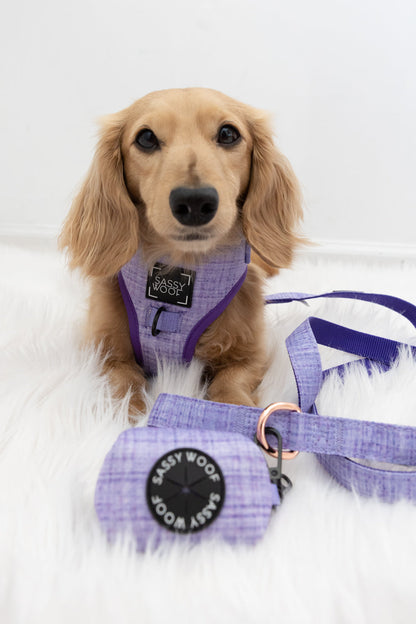 Dog Four Piece Bundle - Aurora